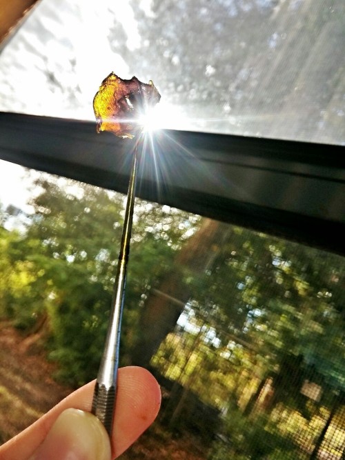 marybriannna:  green-globbin:  mil3highh:  Dabs all night  Can I join you?!  Pleaseeee 😍😍😍