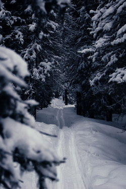 bluepueblo:  Snow Trail, Oregon photo via mylittle 