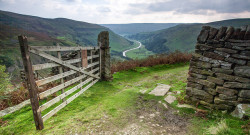 dendrils:  Swaledale… by Tall Guy on Flickr. 