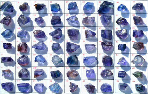 beautifulgemstones:Tanzanite