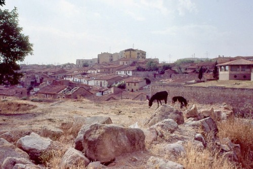 Paisaje urbano con burros, cerca del río Tormes, Salamanca, 1984. Anyone who has studied