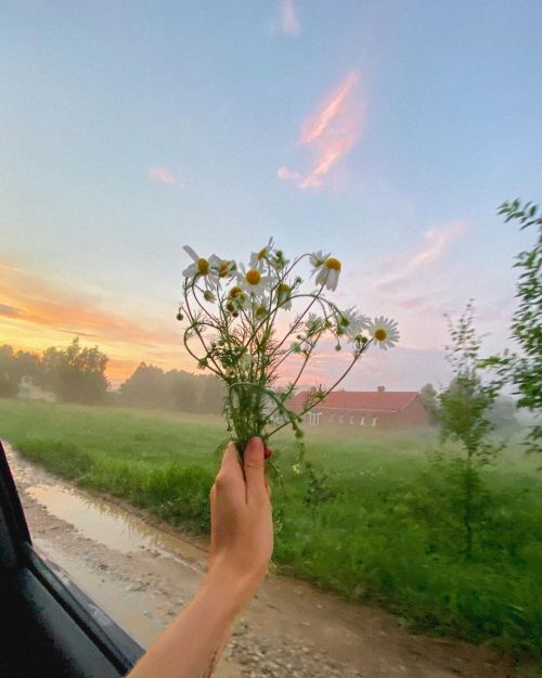 superkursunaskr - BABABABABA