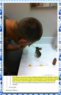 advice-animal:  Good Guy Marine And His Bunnieshttp://advice-animal.tumblr.com/