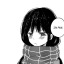 snowdrop-fms