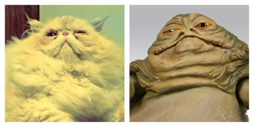 lucifurfluffypants:Jabba the Hutt