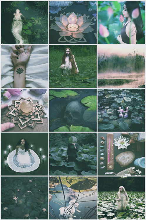 aestheticschaos:Lotus Witch aesthetic