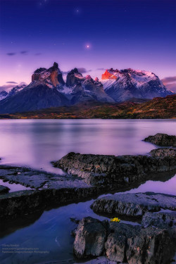 tulipnight:  Salto Grande by Greg Boratyn 