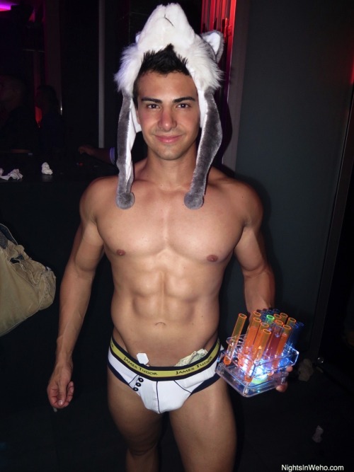 WEST HOLLYWOOD NIGHTS