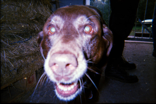 my little brother took these photos with some disposable cameras that i gave him. makes me so happy 