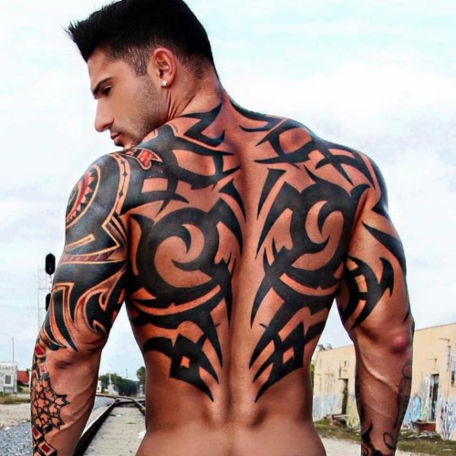 Adonis Files