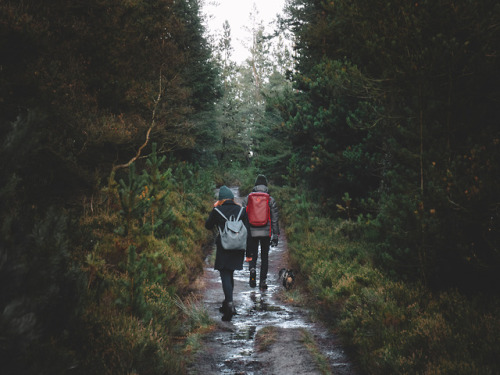 Thrunton Woods and Long Crag, Northumberland, England.