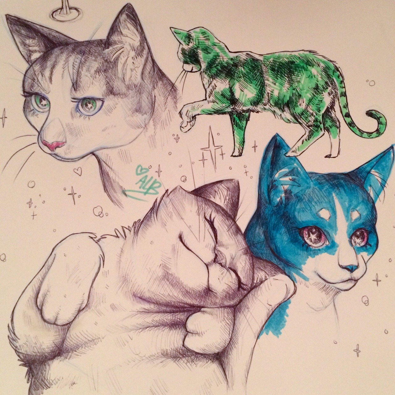 albinwonderland:  some pet doodles from my sketchbook! lots of Mim Mim because she’s