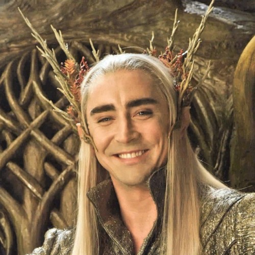 I&rsquo;m smiling like Thranduil because I shall watch TBOFA tomorrow&hellip; again! 