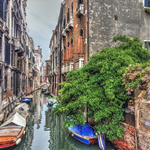 “street” view#venezia #italia #venice #italy#canal #ig_venice #gf_italy #wu_italy #insta
