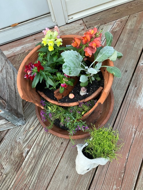 Tis The Season For Fairy Gardens!