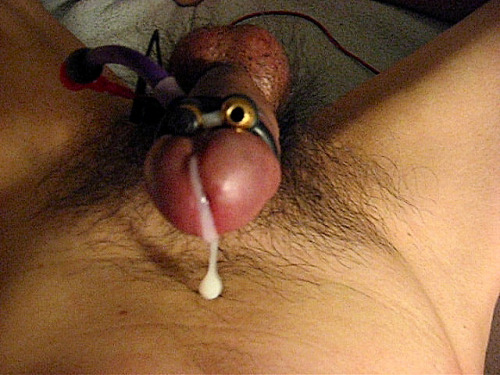 XXX ottawagaylad:  Zap my cock to shoot a load. photo