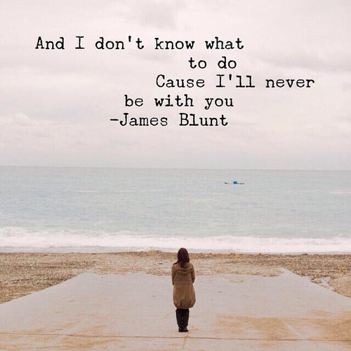 silly-luv:  ♡ find your best posts on my blog ♡