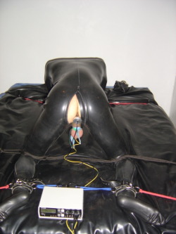 mistressdee3468:  depravpig:  ELECTRO vs pig  sexslavetoy3468 - that’s odd 