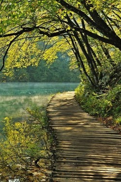lollapoe:  Plitvice Lakes National Park in Croatia through the seasons