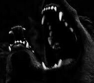 otheraes:Void wolf