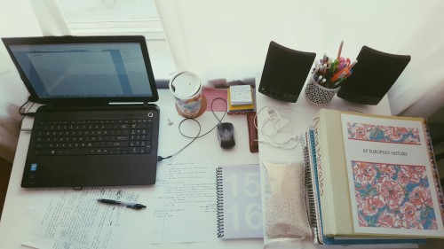 Sunday Afternoon Consists Of Homework & Apple Tea!