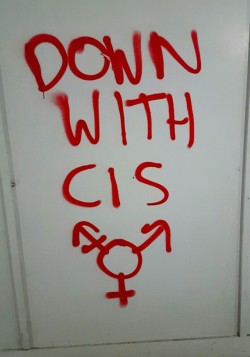 queergraffiti:  smol-insurrection:  Down With Cis  found  in London 