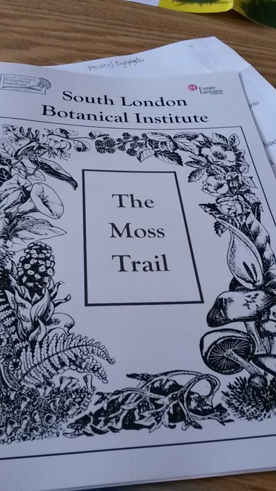 Some Images From The Free Moss Graffiti Workshop This Morning At The South London Botanical Institute.