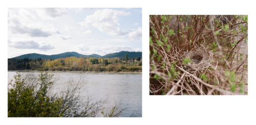 Spring in Priest River, ID II2017