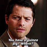mooseleys:  Recapping Season 9: Castiel 