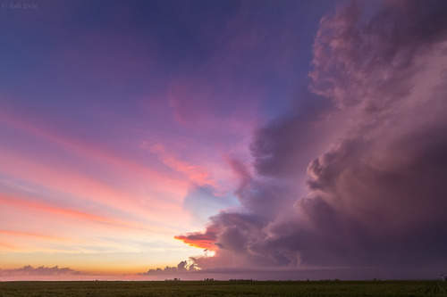 sky-sylph:  Jodi Irvin Photography