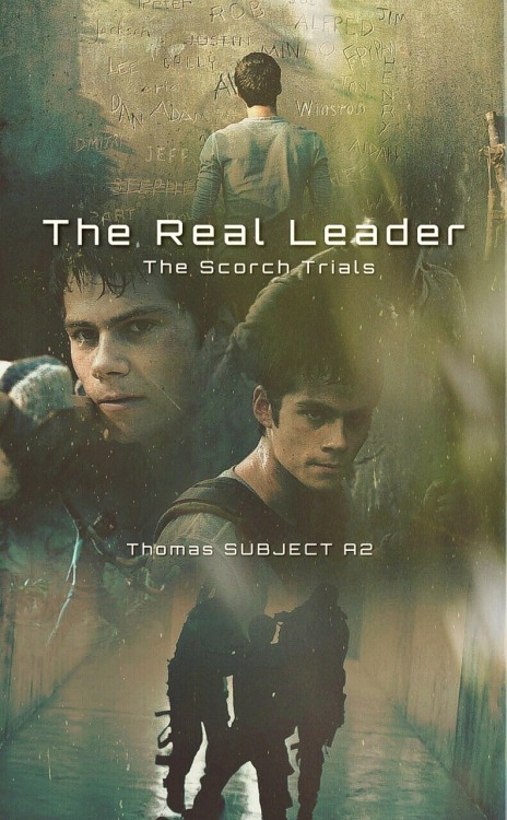 Maze runner scorch trials movie