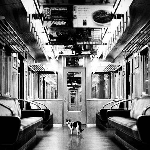 #blackandwhitepic#blackandwhite#blackandwhitephotograph#blackandwhitephotography#blackandwhitephoto#