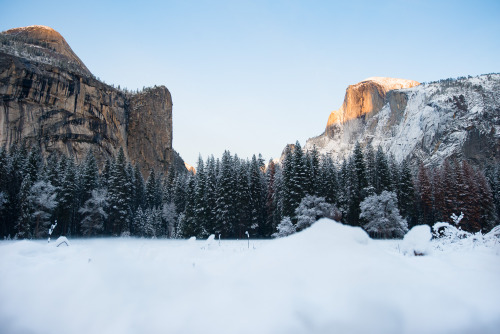 Yosemite WinterDreamy levels of snow have hit the Sierras this winter and it’s beyond beautiful. 