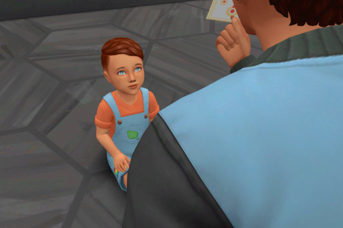 pausesims