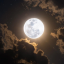 the-moon-shall-be-mine