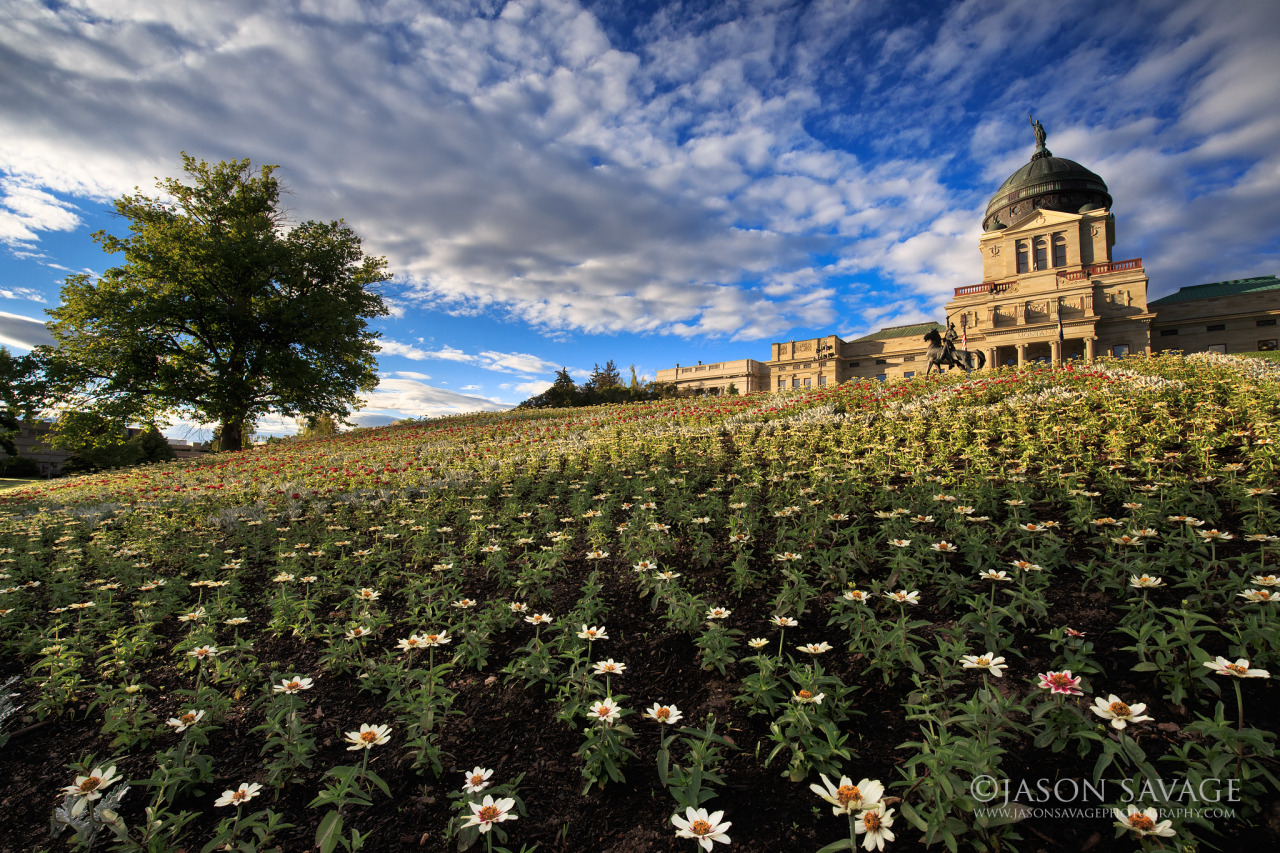 jasonsavagephoto:  Teaching my Helena Photography Workshop today. Here’s one from