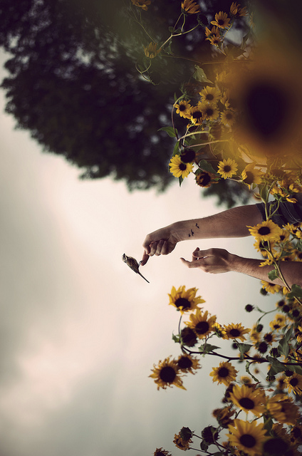 okiepokey:  Embrace the wild.