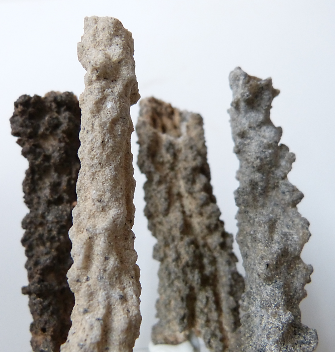 rockon-ro:
“ FULGURITES from Morocco. A fulgurite is a hollow, tubular piece of fused sand caused by a lighting strike to the ground. They are hollow and lined with melted sand grains and generally less than an inch or two in diameter ( a lighting...