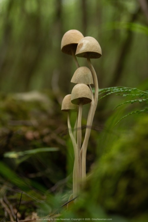 The last Mushroom spoon I carved, way back in 2018. I think it’s high time that I carved a new one.