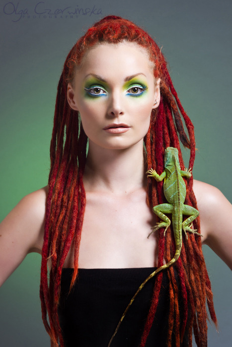 groteleur:  Freaky Animals You Can Legally Have as Pets > 