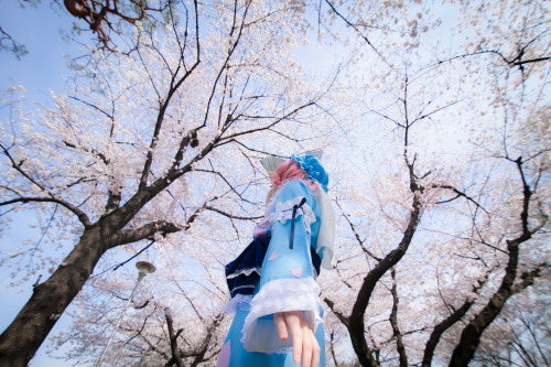 Touhou Project - Yuyuko Saigyouji (Mysuite) 11HELP US GROW Like,Comment & Share.CosplayJapaneseGirls1.5 - www.facebook.com/CosplayJapaneseGirls1.5CosplayJapaneseGirls2 - www.facebook.com/CosplayJapaneseGirl2tumblr - http://cosplayjapanesegirlsblog.tum