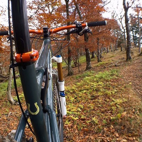 bikes-bridges-beer: #singletrack #mtb #bike #biking #mountainbike #bicycle #fall #colors #autumn #c