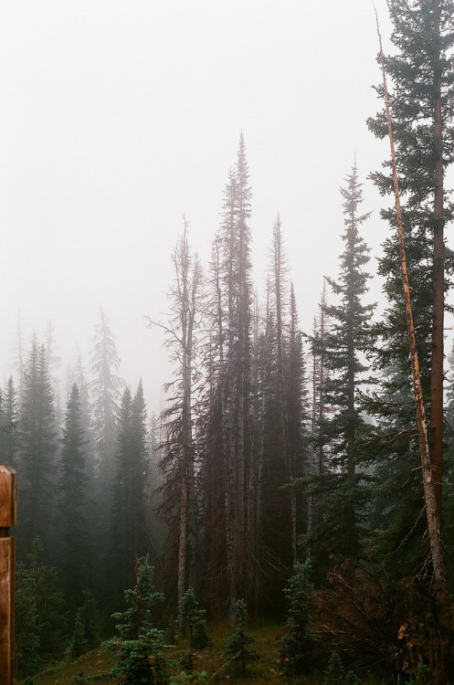 k0asts:  derivings:   	Untitled by Connor Novotny      ~