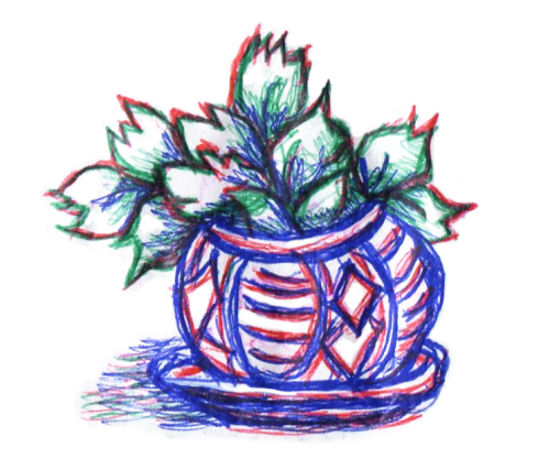 A collection of drawings inspired by our houseplants.