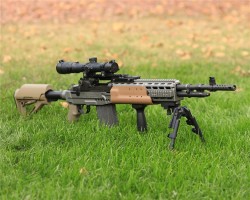 gunrunnerhell:Sage EBRA chassis for the M14/M1A platform, making it a modernized main battle rifle in a largely DMR role. The chassis itself isn’t that expensive, usually around ũ,000 or less, but adding in the rifle and quality optics can easily push