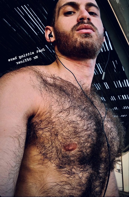 adammitchlove: These guys have the hairiest chests in the world. They are like hairy jungles. Which 