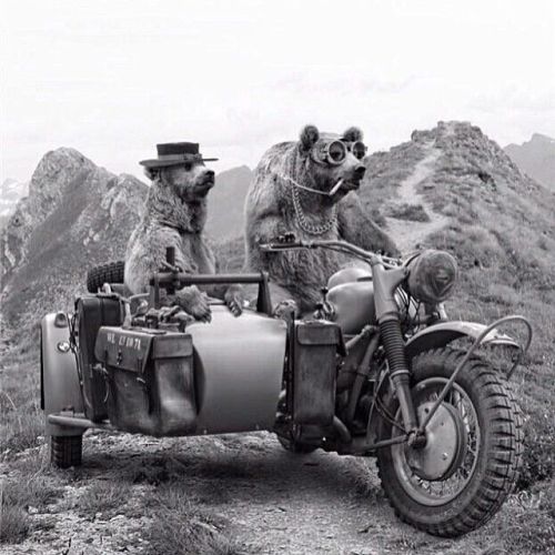 homegrowninoregon:Partners in crime