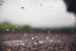 freddie-photography:  Exploding Raindrops: