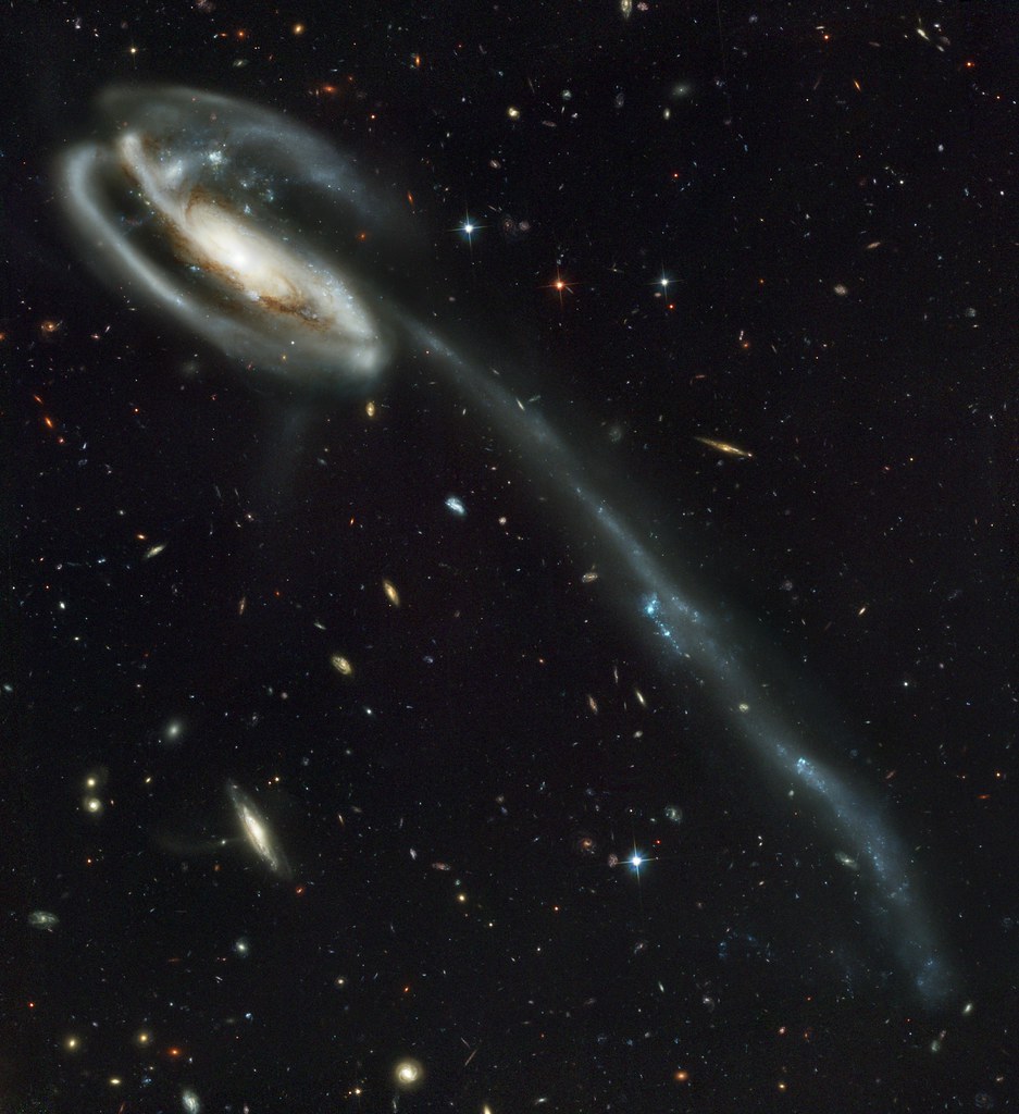The Tadpole Galaxy by NASA Hubble