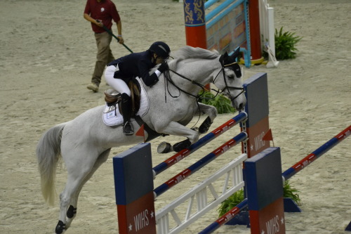 WIHS 2014 &copy; Ranglo